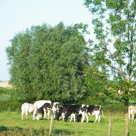 La Vallee Des Trois Monts Saint-Sylvestre-Cappel Zewnętrze zdjęcie